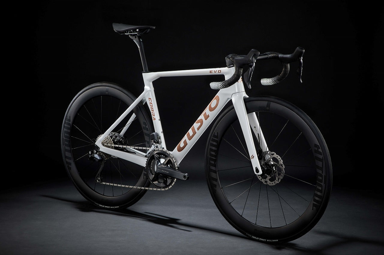 GUSTO ロードバイク